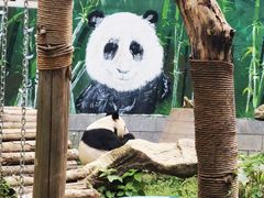 -南昌动物园