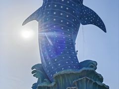-珠海长隆海洋王国