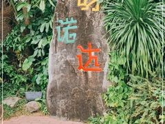 -呀诺达热带雨林