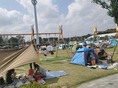 -季高兔窝窝亲子园(上海薰衣草公园店)