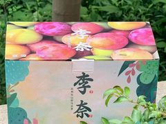 -东山风景区(洞庭东山)