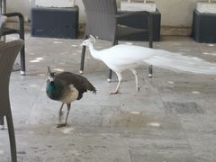 -安塔利亚博物馆