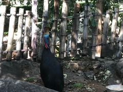 -昆明动物园