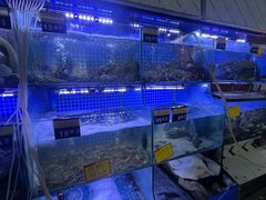 -温岭人家(红花北路店)