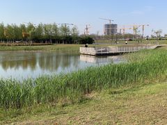 -春花秋色城市公园