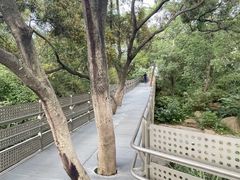 -福道