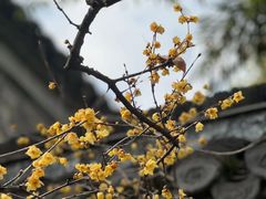 -个园