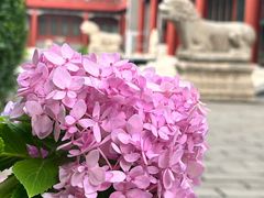 -北京石刻艺术博物馆(五塔寺)