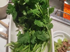香菜-海底捞火锅(万科广场店)