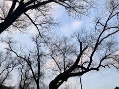 -晋祠博物馆