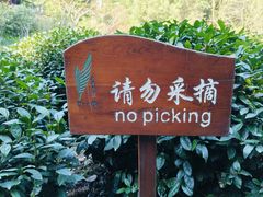 -十里琅珰