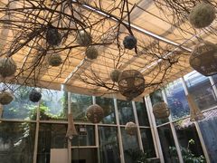 -院子餐厅·大锅菜·老杭帮(桥西直街店)