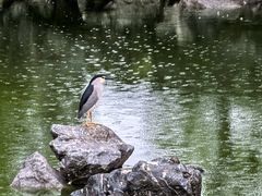 -墨池公园