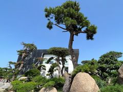 -罗红摄影艺术馆