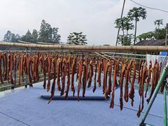 -天强农家菜馆