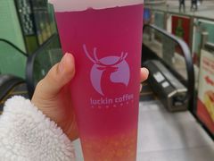 紫桂上仙茶-瑞幸咖啡(水平方店)