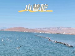 -小普陀