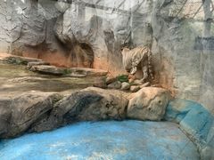 -灵玲国际马戏城