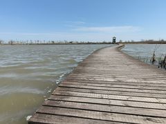 -盐城丹顶鹤湿地生态旅游区