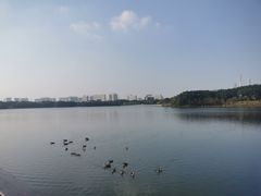 -海珠湖公园