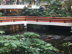 -白天鹅宾馆·流浮阁咖啡厅