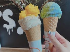 沙糖桔-Dal Cuore 达可芮冰淇淋(陕西北路店)