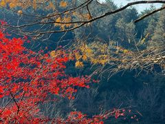 -四明山国家森林公园
