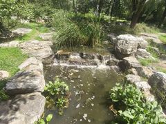 -莲花池公园