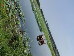 -焦岗湖旅游度假区