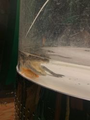 -酷嗒动物文化乐园(cutezoo西溪乐天城店)