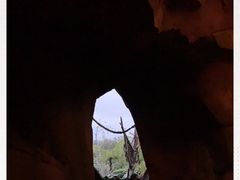 -奥兰多迪士尼动物王国乐园