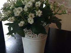 iphone_upload_pic-LouisTime路易时光(蕴川路店)
