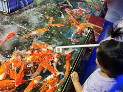 -太平洋海底世界