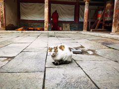 -塔尔寺