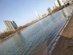 -雁滩公园