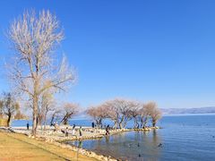 -洱海月湿地公园