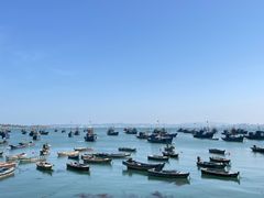 -海源公园