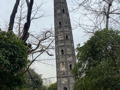 -上海佘山国家森林公园天马山园