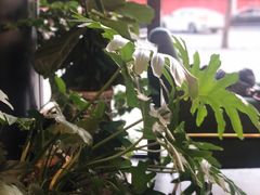 -chenity  cafe