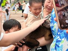 -灵玲国际马戏城