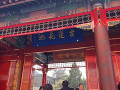 -莲池书院博物馆