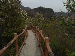 -灵宝峡旅游区