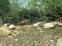 -西安秦岭野生动物园