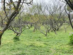 -无锡梅园公园