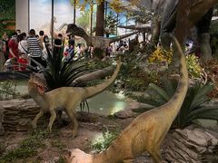 -湖南省地质博物馆