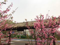 -苏州吴中太湖旅游区