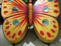 -上海昆虫博物馆