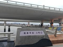 -演武大桥观景平台