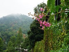 -黄公望隐居地