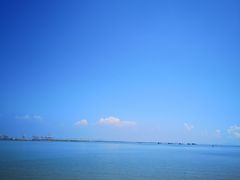 -大湾区中央湿地公园